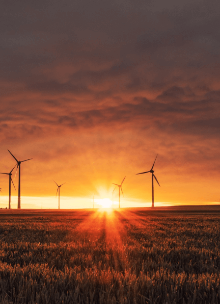 Help shape Australia's future