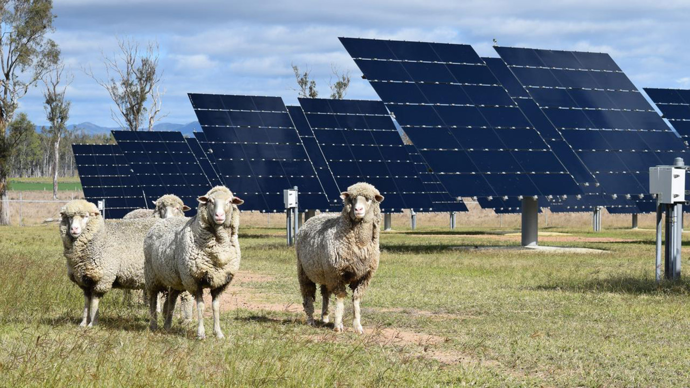 How renewable energy and agriculture thrive together