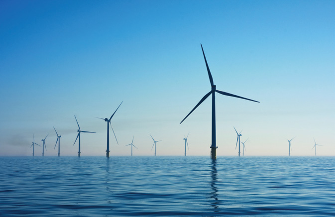 Whales and offshore wind energy