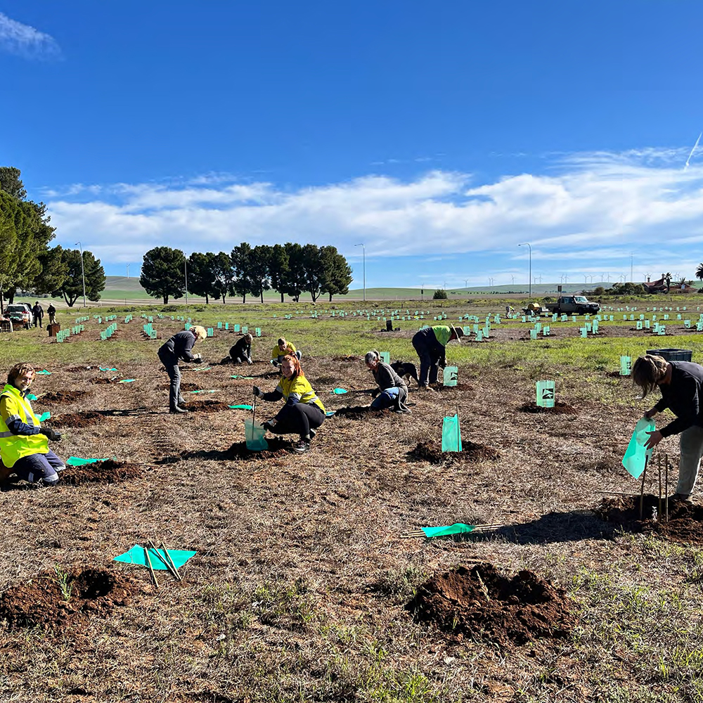 Biodiversity assessment reforms