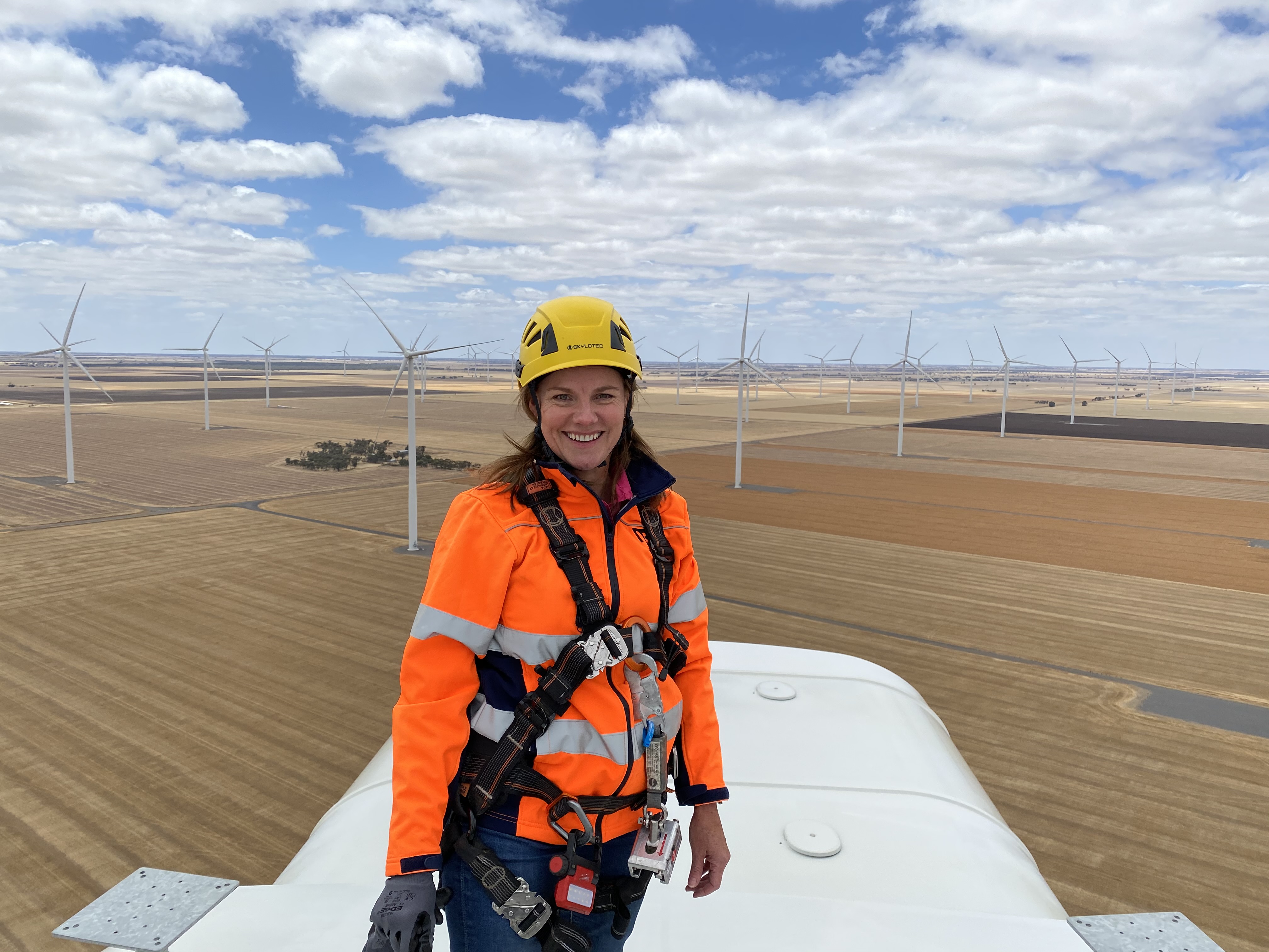 <p>Jobs at the Clean Energy Council</p>
