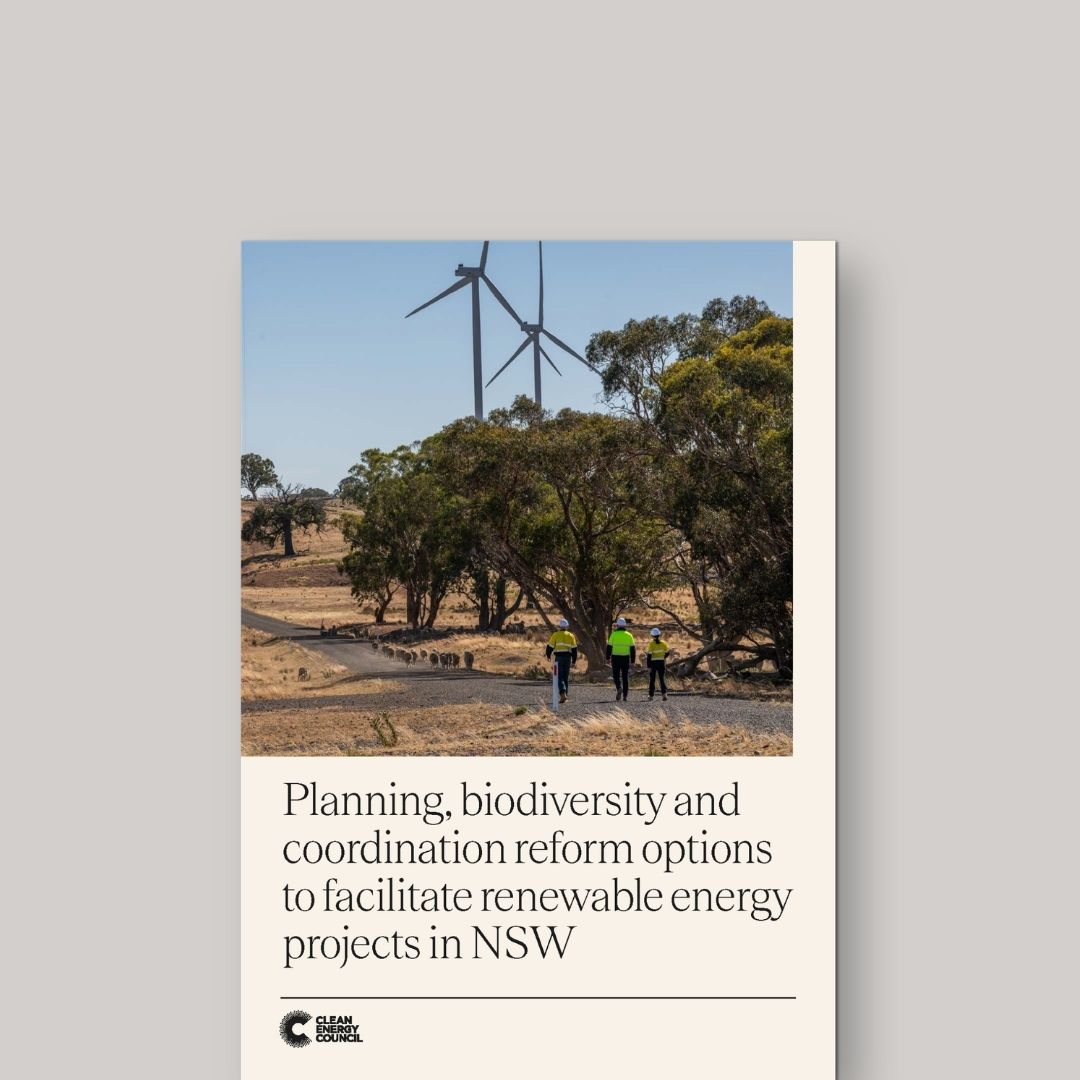 <p>Planning, biodiversity and coordination reform options to facilitate renewable energy projects in NSW&nbsp;</p>